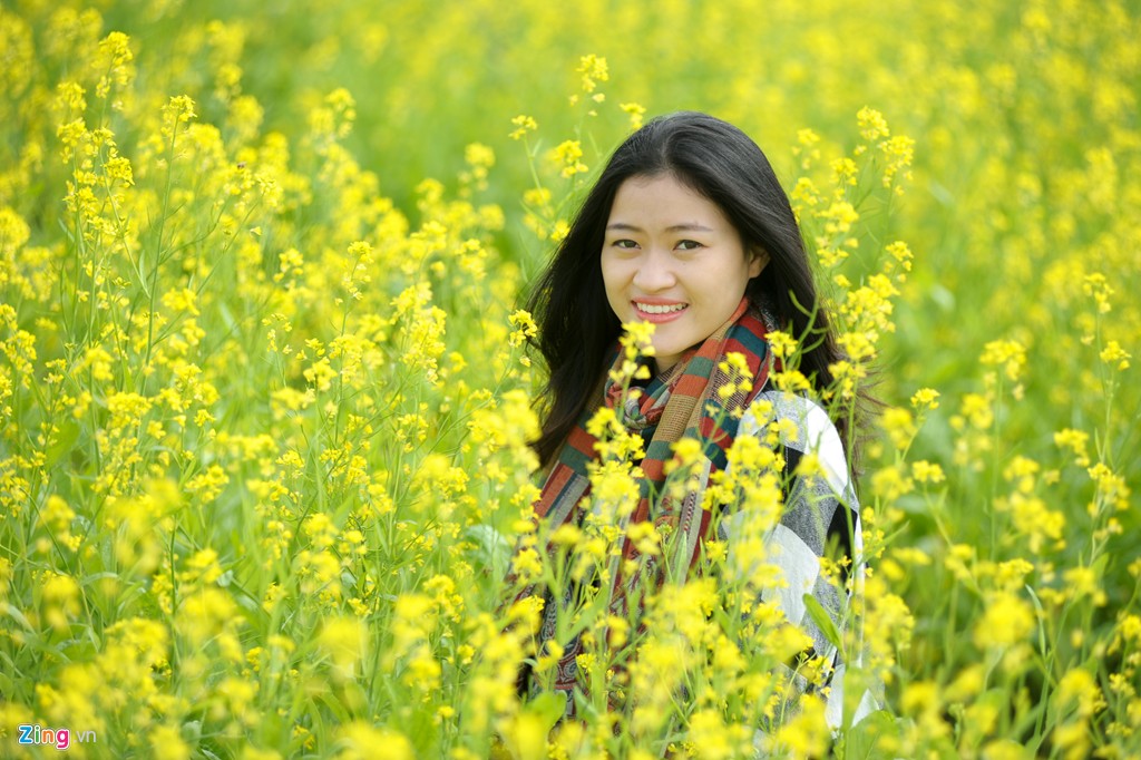 Đồng hoa cải nở rộ thu hút giới trẻ Hà Nội 