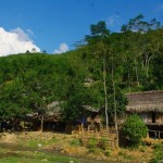 Bản Thái đen biệt lập trong rừng trúc ở Thanh Hóa